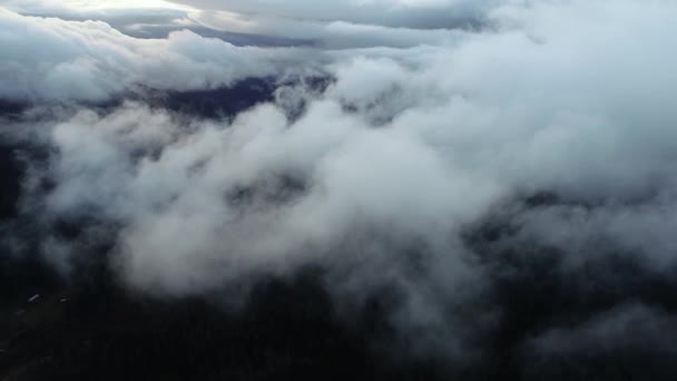 Mosca Aérea Sobre Nuvens Paisagem Florestal Por Sol Com Chuva — Vídeo de Stock