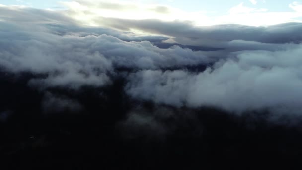 Εναέρια Πετάξει Πάνω Από Σύννεφα Στο Δάσος Τοπίου Ηλιοβασίλεμα Ελαφριά — Αρχείο Βίντεο