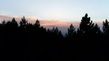 kırsal curvy yolun yeşil orman ve dağ güneşli yaz gününde geçerken havadan görünümü