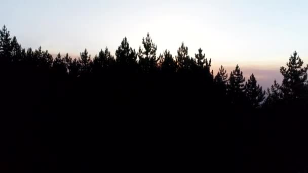 Vista Aérea Estrada Curvilínea Rural Passando Pela Floresta Verde Montanha — Vídeo de Stock