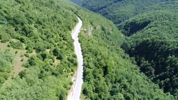 Luftaufnahme Der Landschaft Kurvige Straße Durch Den Grünen Wald Und — Stockvideo