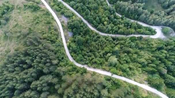 Αεροφωτογραφία Της Υπαίθρου Καμπύλες Δρόμο Περνώντας Μέσα Από Καταπράσινο Δάσος — Αρχείο Βίντεο