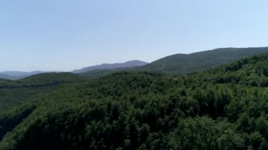 kırsal curvy yolun yeşil orman ve dağ güneşli yaz gününde geçerken havadan görünümü