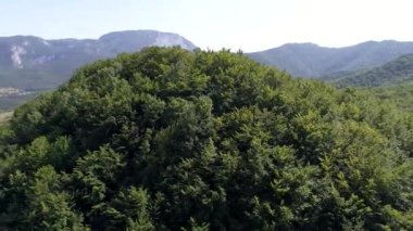 kırsal curvy yolun yeşil orman ve dağ güneşli yaz gününde geçerken havadan görünümü