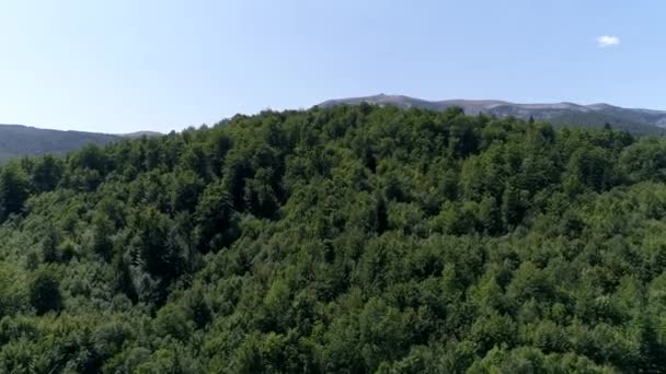 Aerial View Countryside Curvy Road Passing Green Forest Mountain Sunny — Stock Video