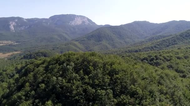 Légi Felvétel Táj Kanyargós Halad Zöld Erdő Hegy Napsütéses Nyári — Stock videók