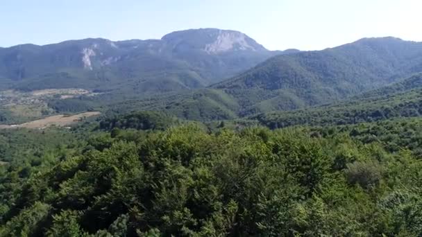 田舎曲線道路の日当たりの良い夏の日の緑の森や山を通過の航空写真 — ストック動画