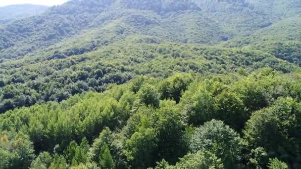 Vue Aérienne Campagne Route Sinueuse Passant Par Forêt Verte Montagne — Video