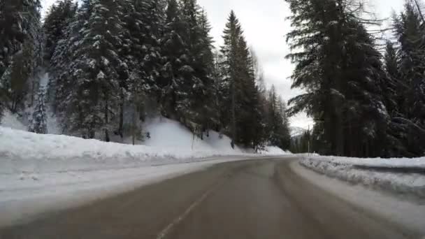 田舎の山アルプス湾曲氷で冬に運転車イタリアアルプス — ストック動画