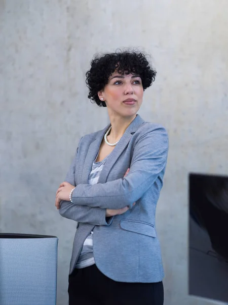 Retrato del exitoso desarrollador de software femenino — Foto de Stock