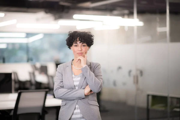 Portret van succesvolle vrouwelijke Software Developer — Stockfoto