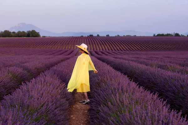 黄色のドレスを着たアジア系女性とラベンダー畑の帽子 — ストック写真