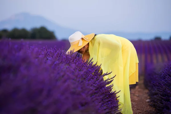 Ásia mulher no amarelo vestido e chapéu no lavanda campo — Fotografia de Stock