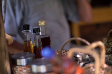 Bitkibilimci atölyesi