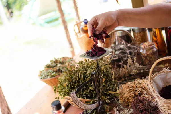 Herbalist pequeno empresário proprietário — Fotografia de Stock