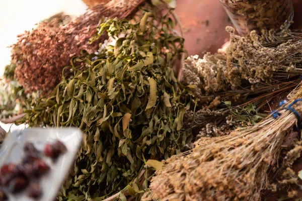 Oficina herbalist — Fotografia de Stock