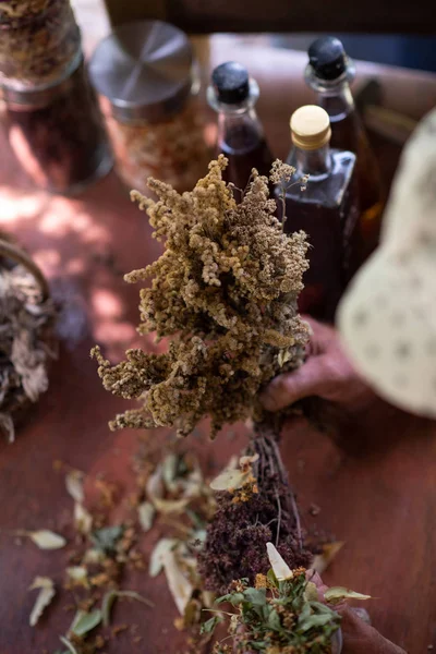 Oficina herbalist — Fotografia de Stock