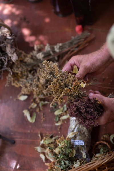 Oficina herbalist — Fotografia de Stock