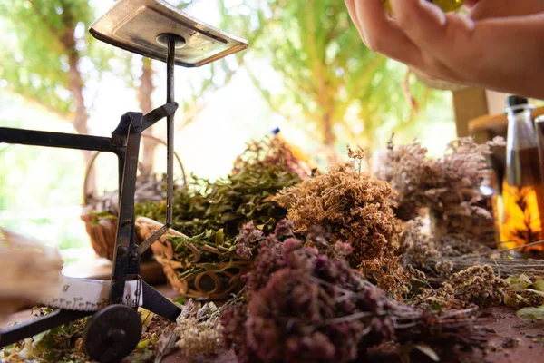 Herbalist workshop — Stock Photo, Image