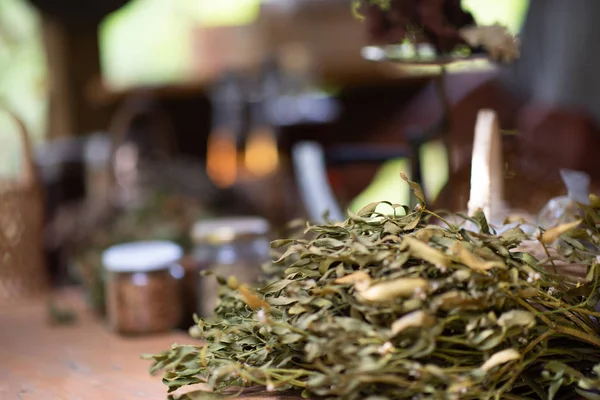 Herbalist workshop — Stock Photo, Image