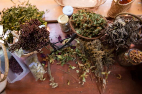 Oficina herbalist — Fotografia de Stock