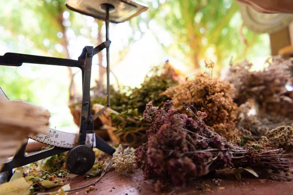 Herbalist workshop — Stock Photo, Image