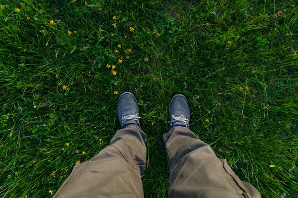 Bovenaanzicht Van Poten Gras Die Casual Schoenen Dragen — Stockfoto