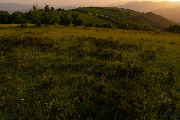 Landskap natur sommar — Stockfoto