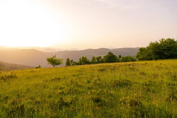 Paesaggio natura estate — Foto Stock