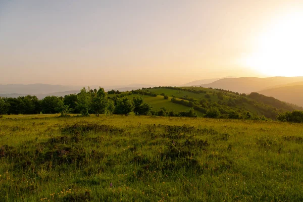 Paesaggio natura estate — Foto Stock