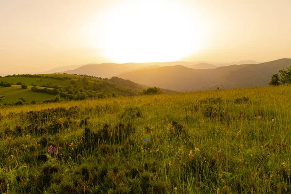 Paesaggio natura estate — Foto Stock