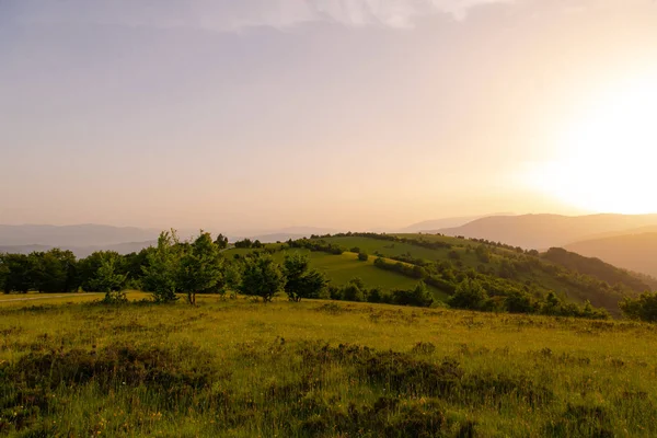 Paesaggio natura estate — Foto Stock