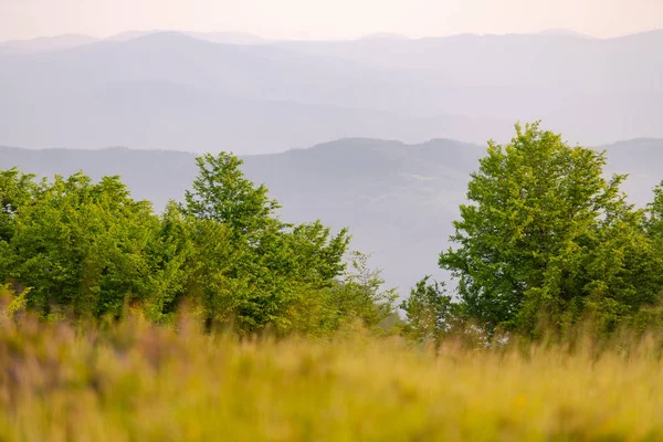 Paisagem natureza verão — Fotografia de Stock