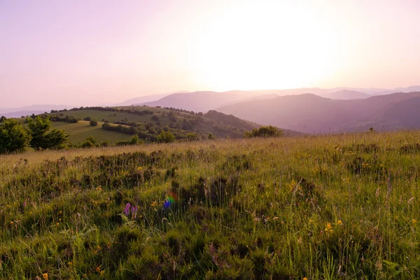 Paesaggio natura estate — Foto Stock