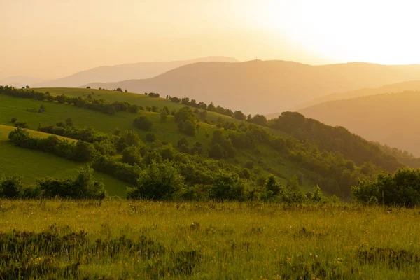 Landschap natuur zomer — Stockfoto