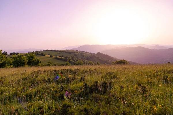 Paesaggio natura estate — Foto Stock