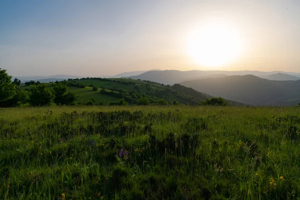 Paesaggio natura estate — Foto Stock