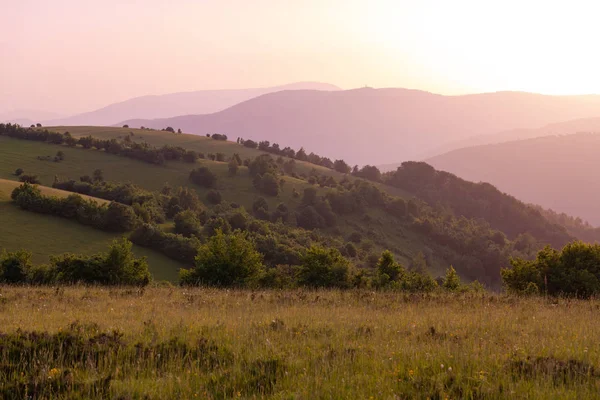 Ландшафтна природа літо — стокове фото