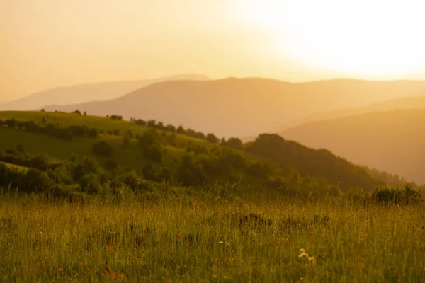 Paisagem natureza verão — Fotografia de Stock