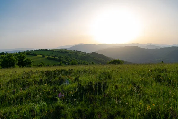 Landschap natuur zomer — Stockfoto