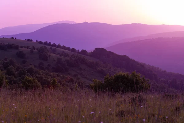 Paisagem de verão roxo ultra violeta — Fotografia de Stock