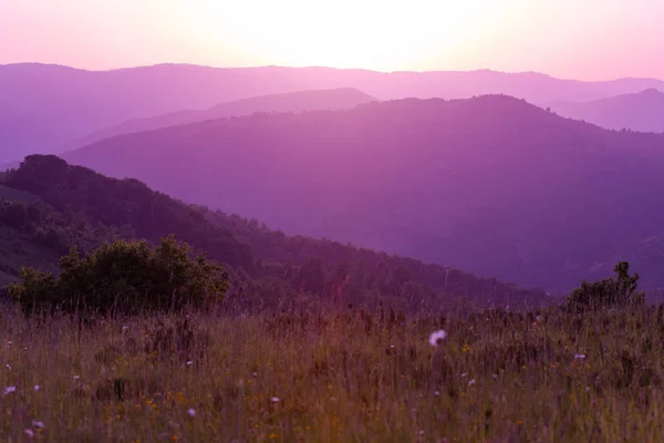 Ultrafialová purpurová letní krajina — Stock fotografie