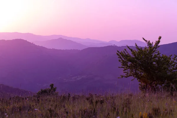 Ultrafialová purpurová letní krajina — Stock fotografie