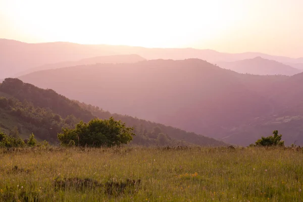 Landschap natuur zomer — Stockfoto