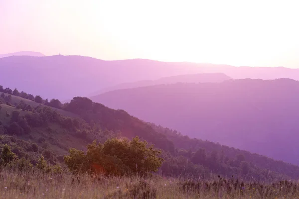 Paysage d'été violet ultra — Photo