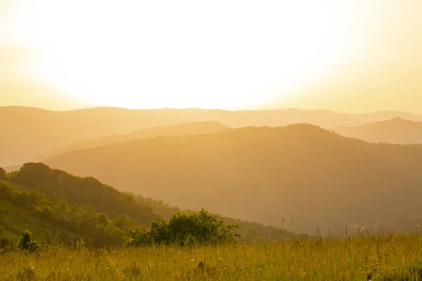 Paisagem natureza verão — Fotografia de Stock