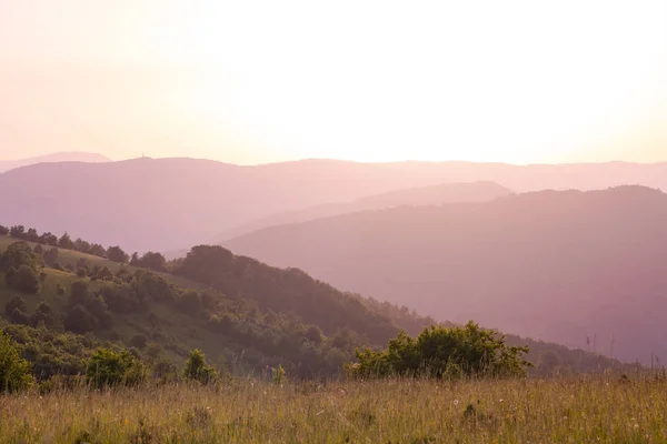 Paesaggio natura estate — Foto Stock