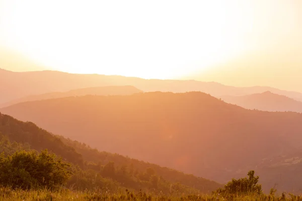 Landschap natuur zomer — Stockfoto