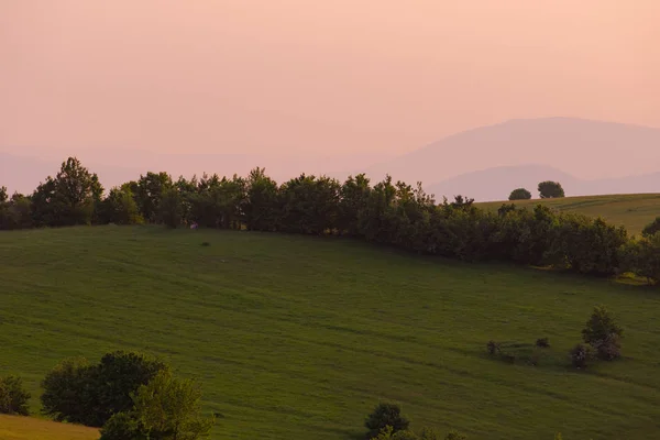 Landschaft Natur Sommer — Stockfoto