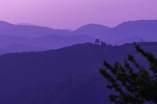 Ultra violeta púrpura paisaje de verano —  Fotos de Stock